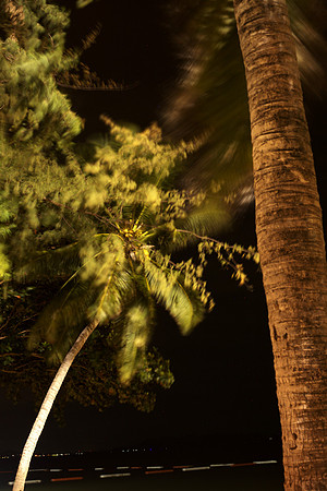 exploding palm 72