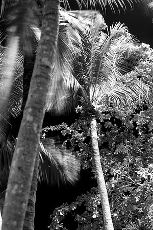 The contrast of things #48