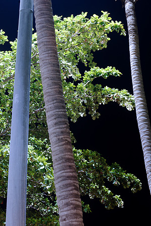 three pillars 0051