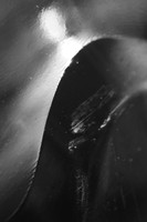 the figure within #34