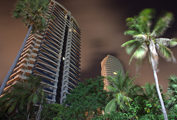 Palm Mill #64