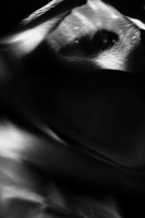 subzero 66 bw