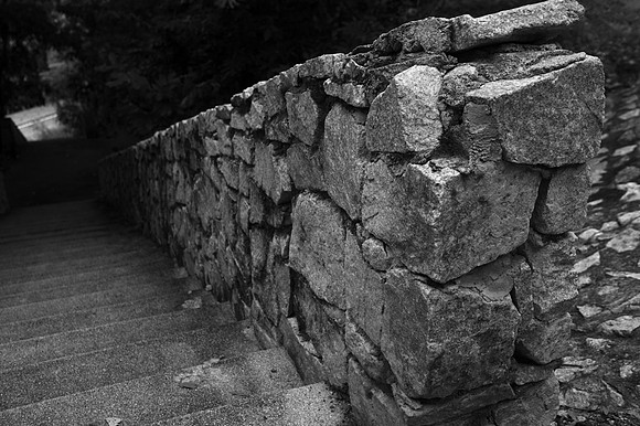 A walk in the park #63