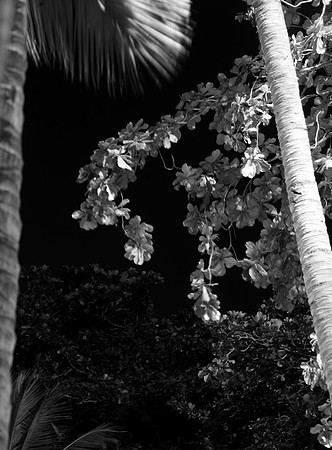 The texture of things # 57