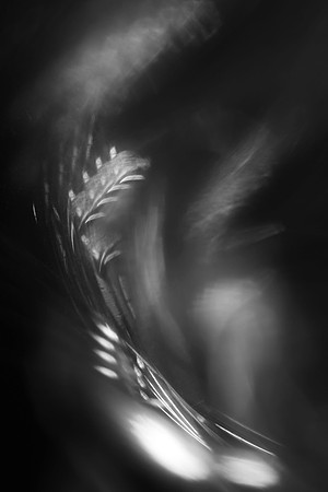 wheat bran #145